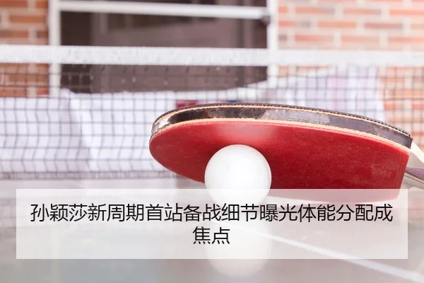 孙颖莎新周期首站备战细节曝光体能分配成焦点